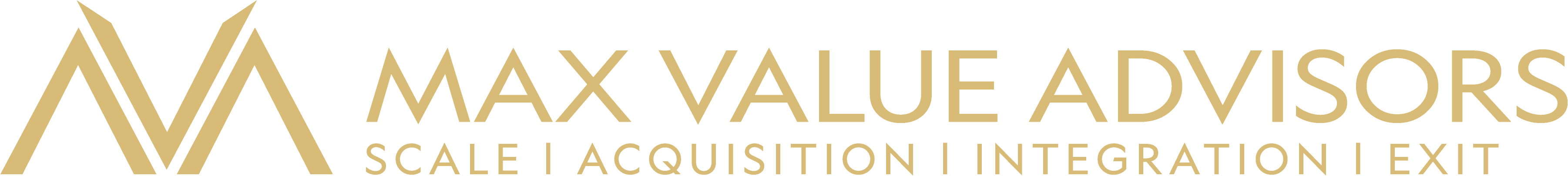 Max Value Advisors. Scale, Acquisition, Integration, Exit.